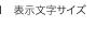 表示文字サイズ